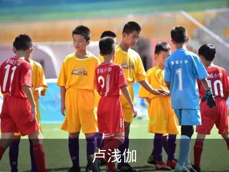 卢浅伽介绍